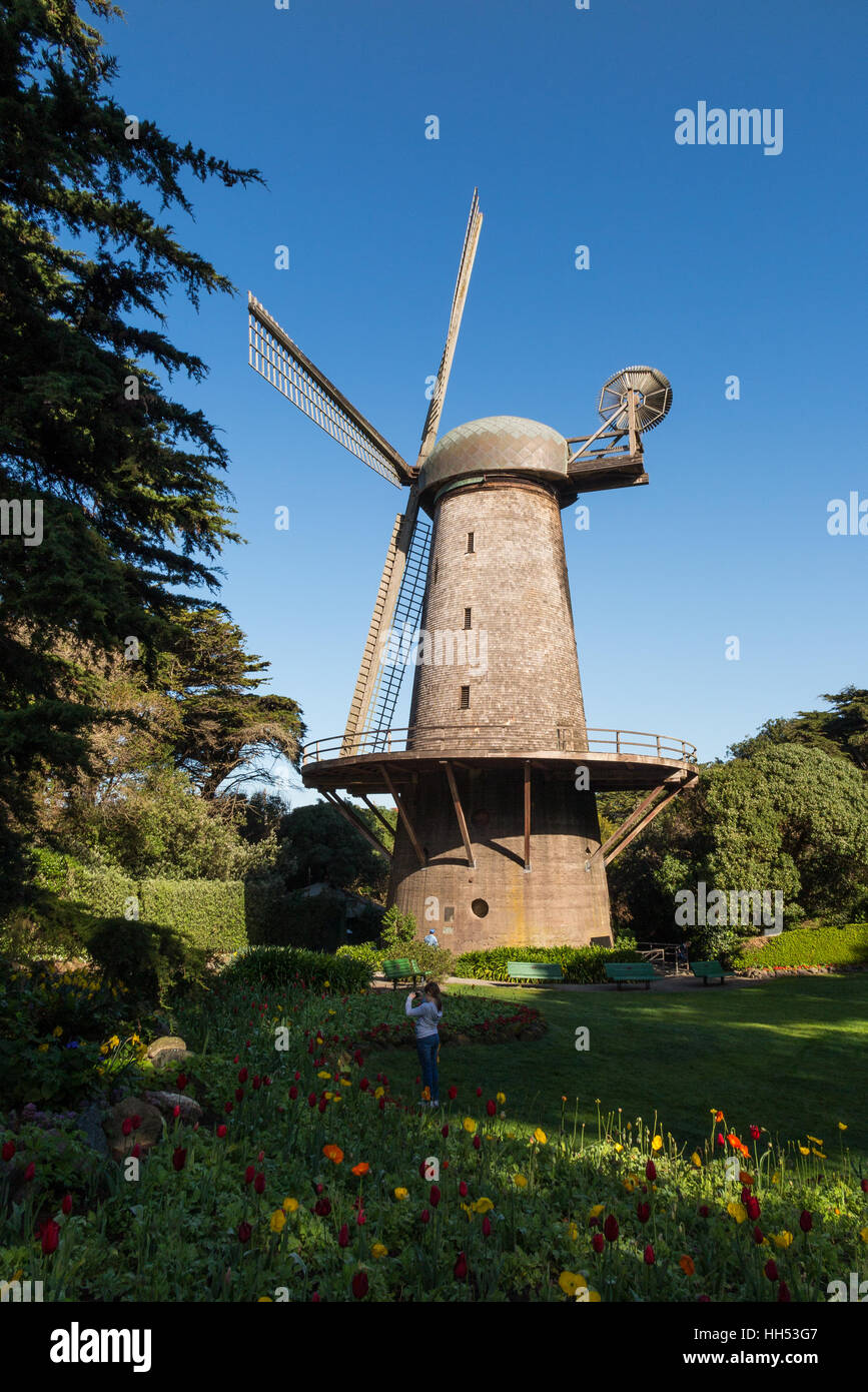 Junges Mädchen in der holländischen Windmühle und Königin Wilhelmina Tulip Garden an der Golden Gate Park, San Francisco Stockfoto