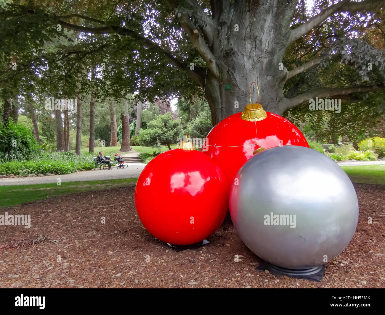 Große Weihnachtskugeln unter Baum in Christchurch, Neuseeland Stockfoto