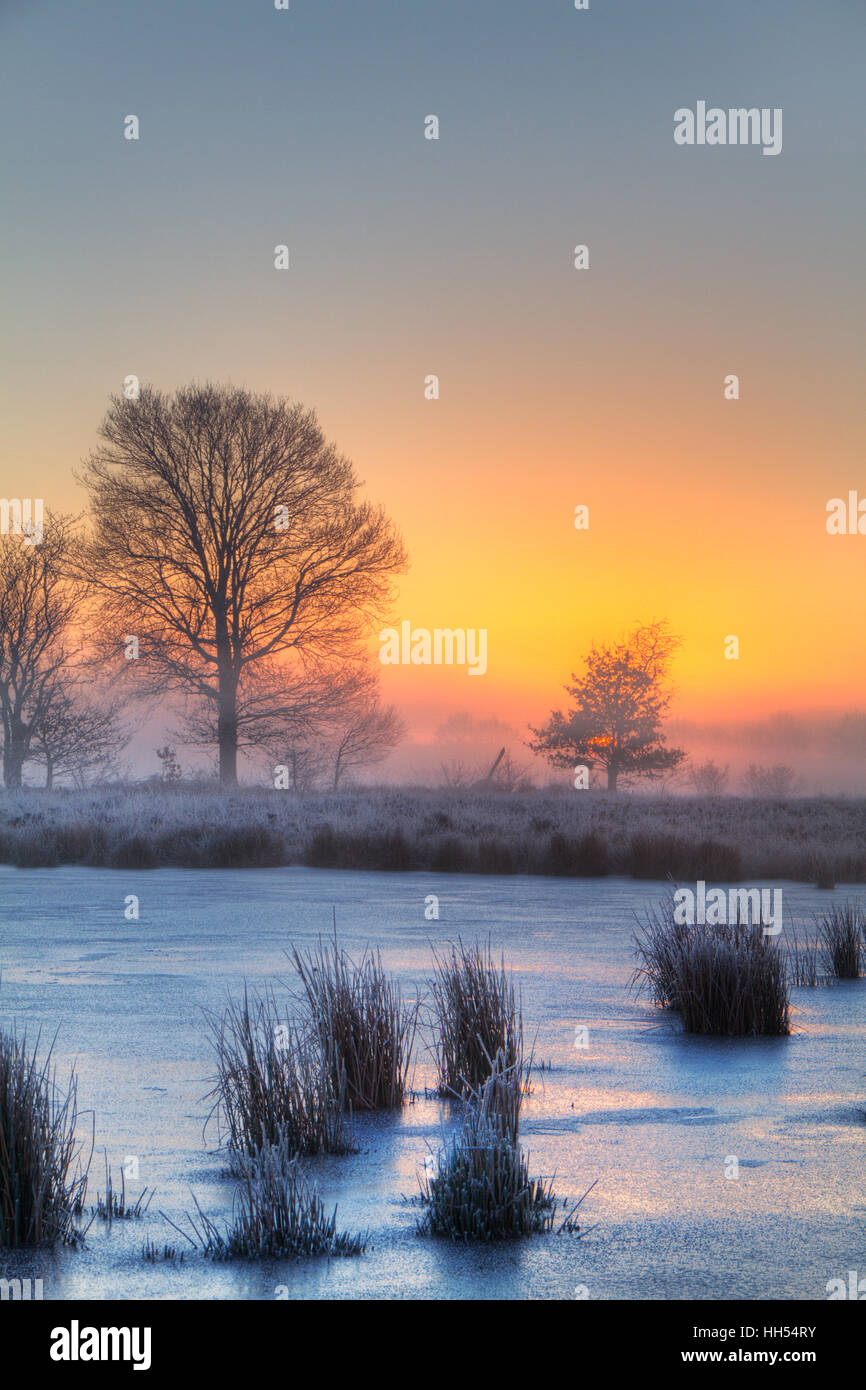 Zugefrorenen See mit gemeinsamen Ansturm bei Sonnenaufgang Stockfoto