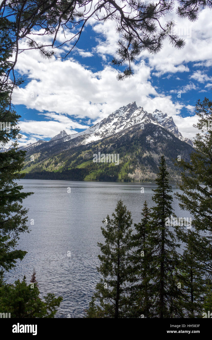 Mt. Moran in Grand Teton Nationalpark, Wyoming Stockfoto