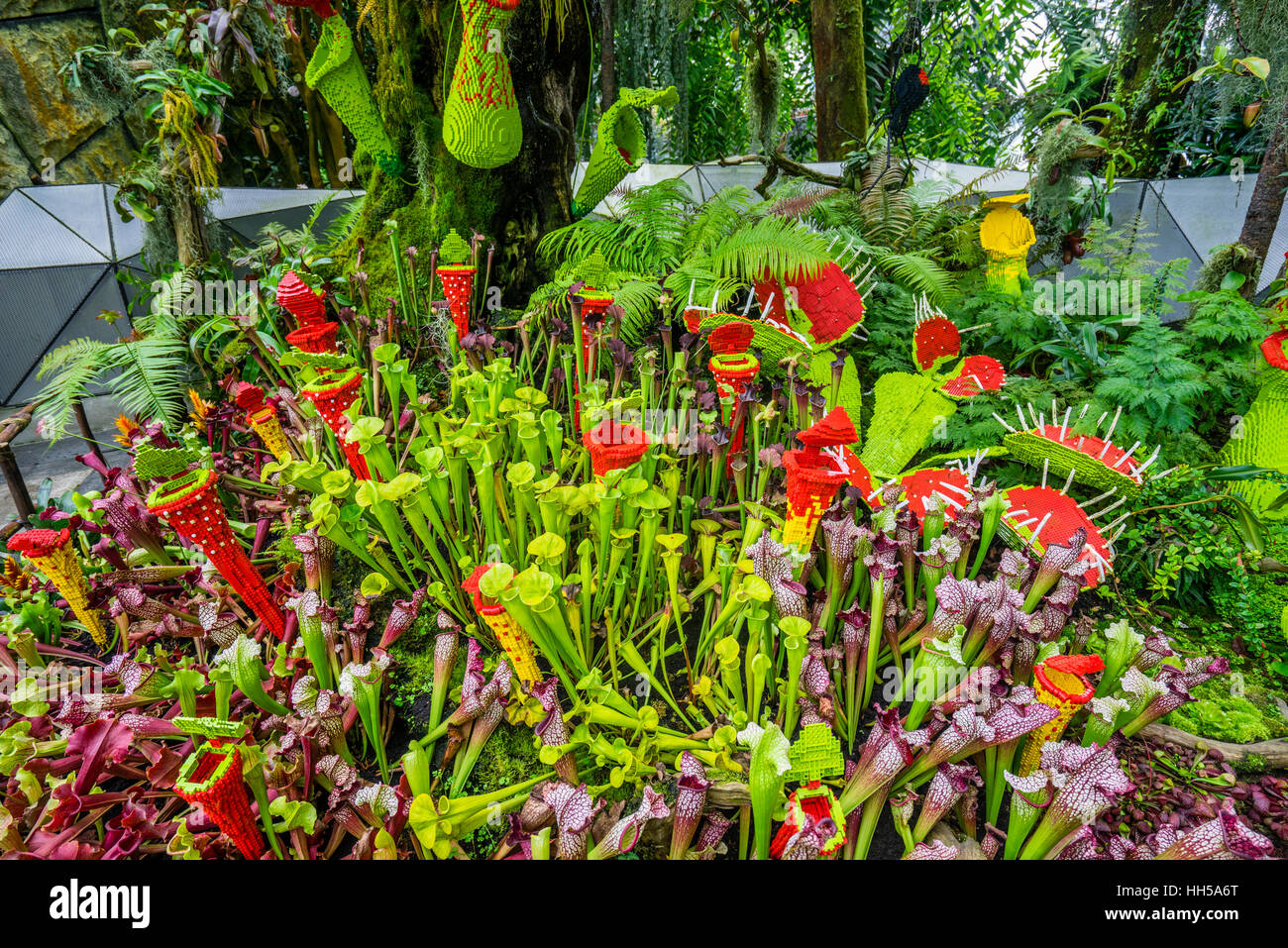 Singapur, Gärten durch die Bucht, Lego fleischfressenden Pflanzen im Cloud Forest green house Stockfoto