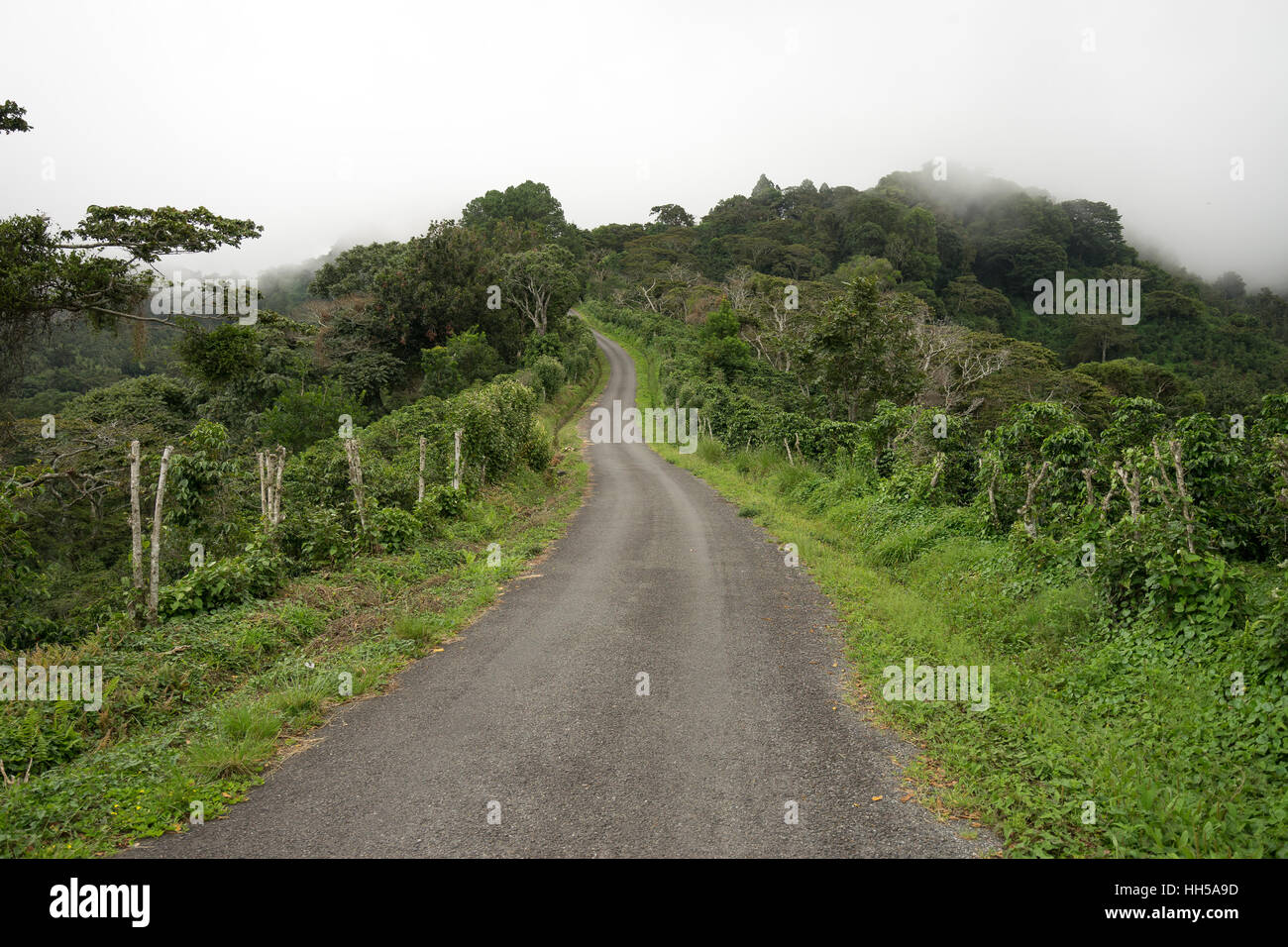 Schotterstraße in Panamas Hochland von Boquete Stockfoto