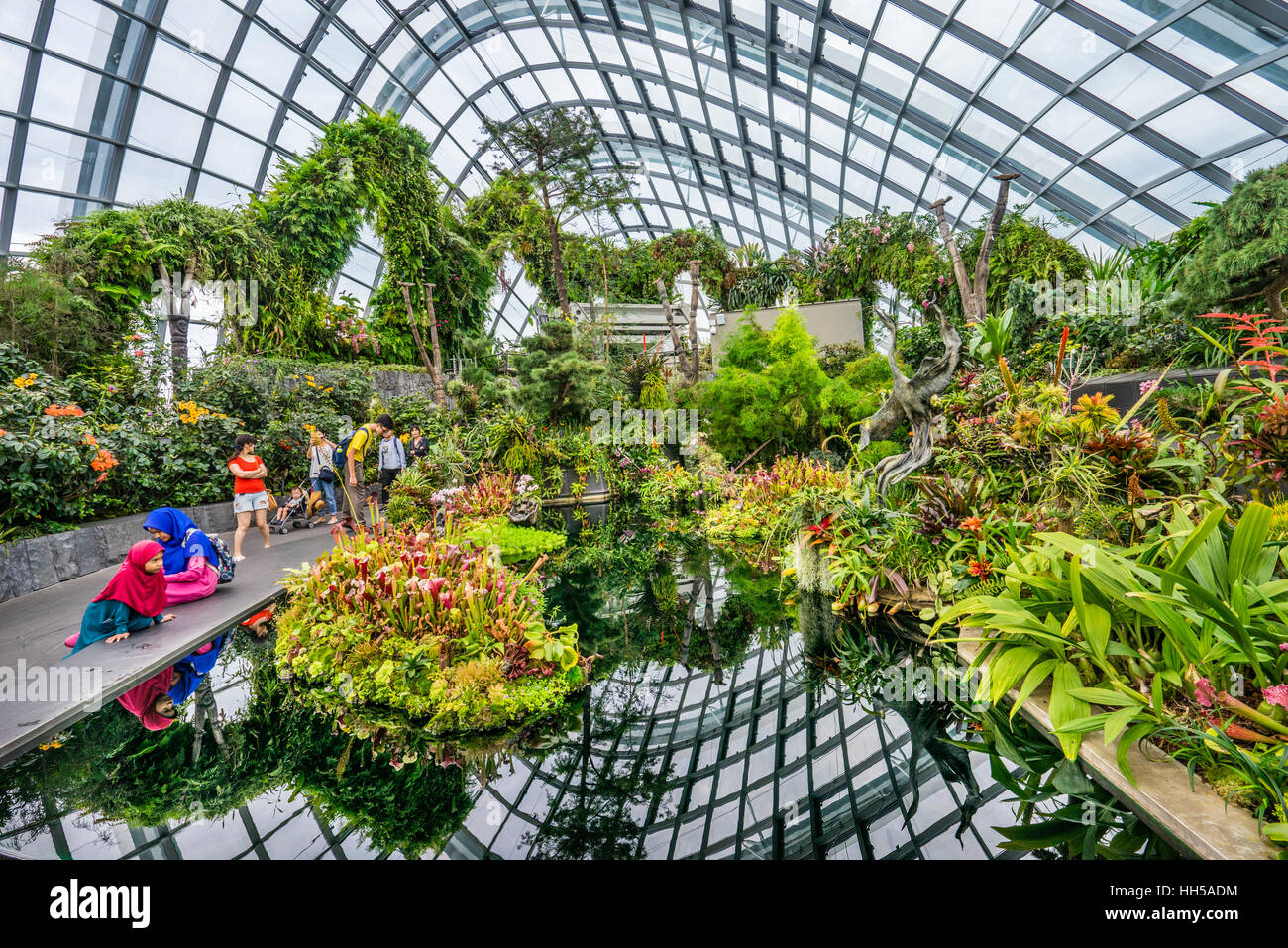 Singapur, Gärten an der Bucht, Lost World Garden im Nebelwald riesigen grünen Haus Stockfoto