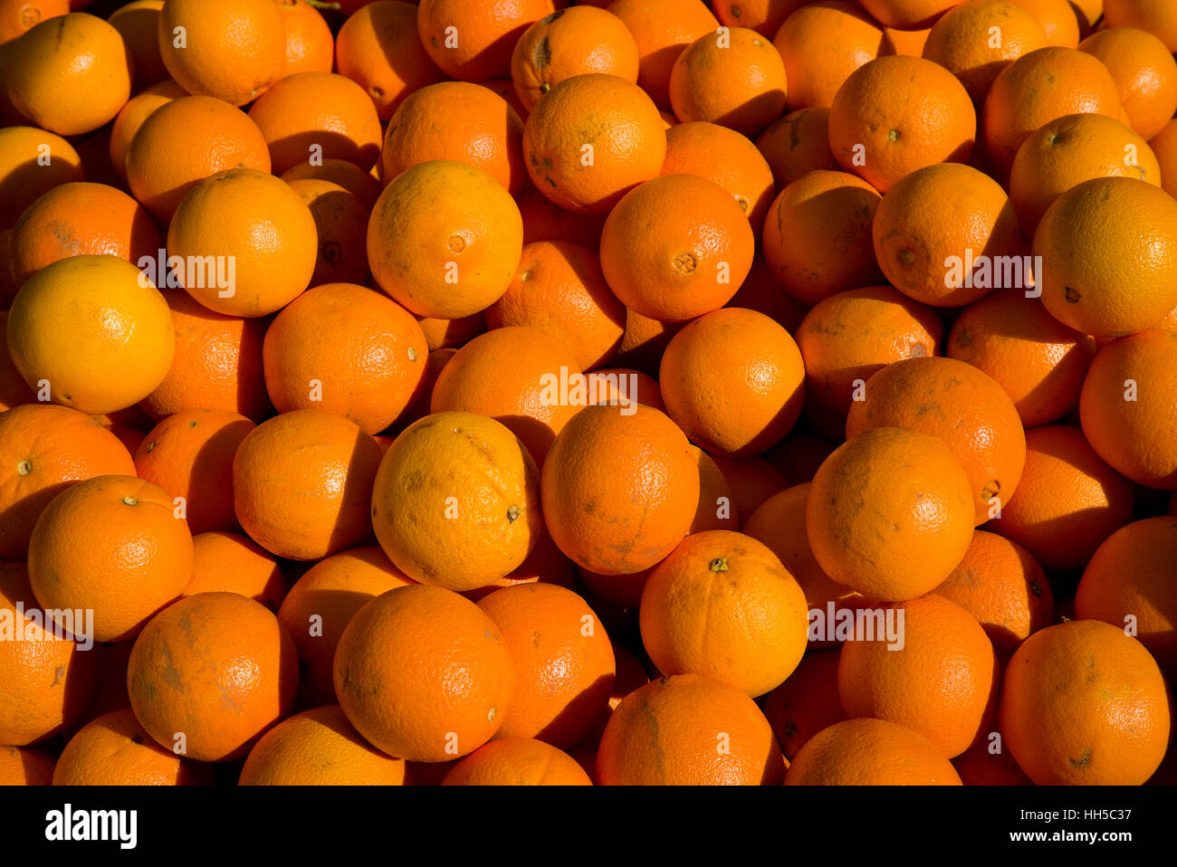 Orangen Stockfoto