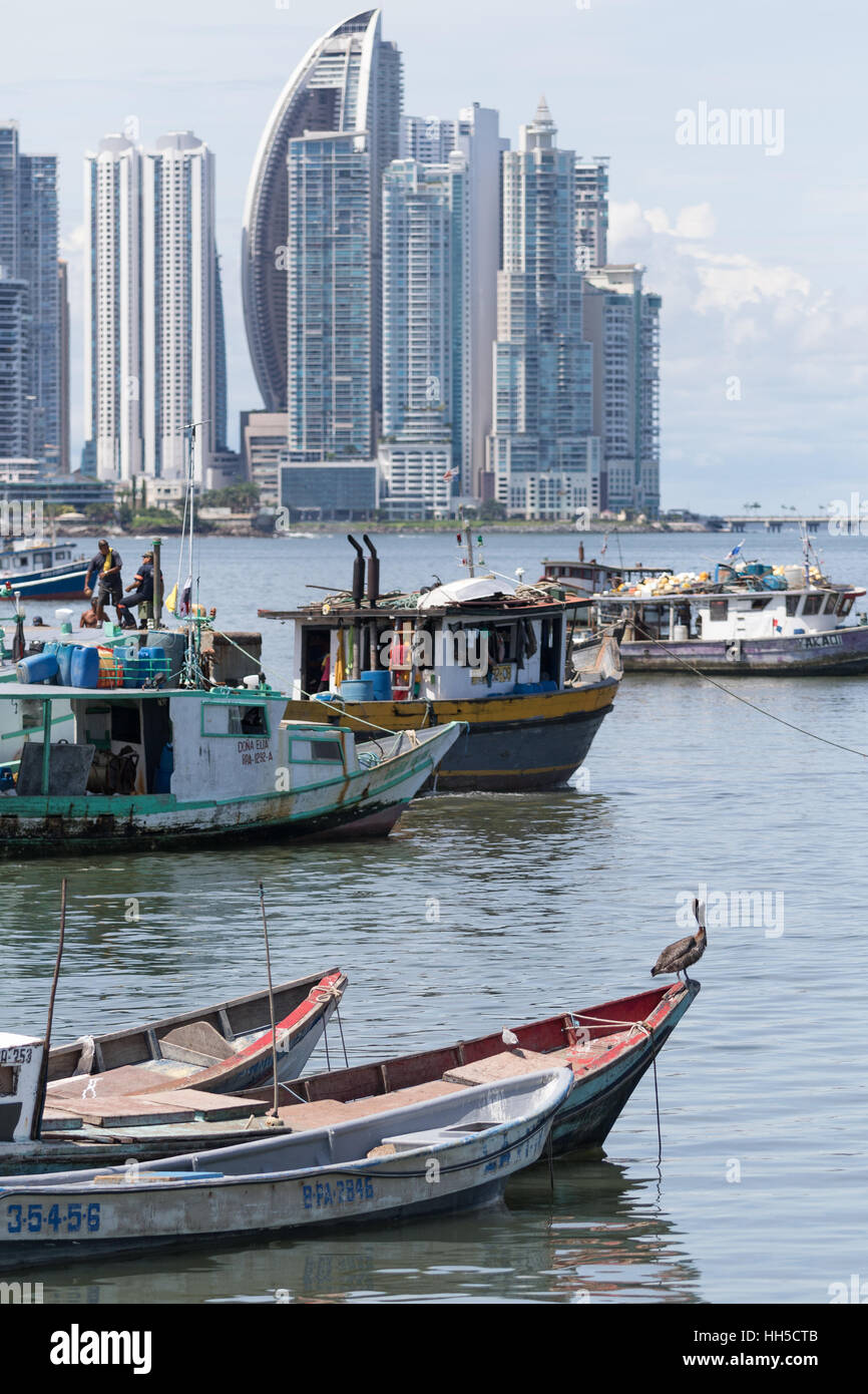 15. Juni 2016 Panama-Stadt: ein Pelikan steht auf einem kleinen Fischerboot schwimmt auf dem Wasser durch den Fischmarkt mit der modernen Innenstadt Hallo Stockfoto