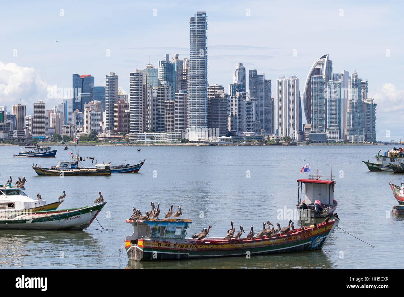15. Juni 2016 Panama-Stadt: Pelikane, stehend auf einem kleinen Fischerboot schwimmt auf dem Wasser durch den Fischmarkt mit der modernen Innenstadt Highri Stockfoto