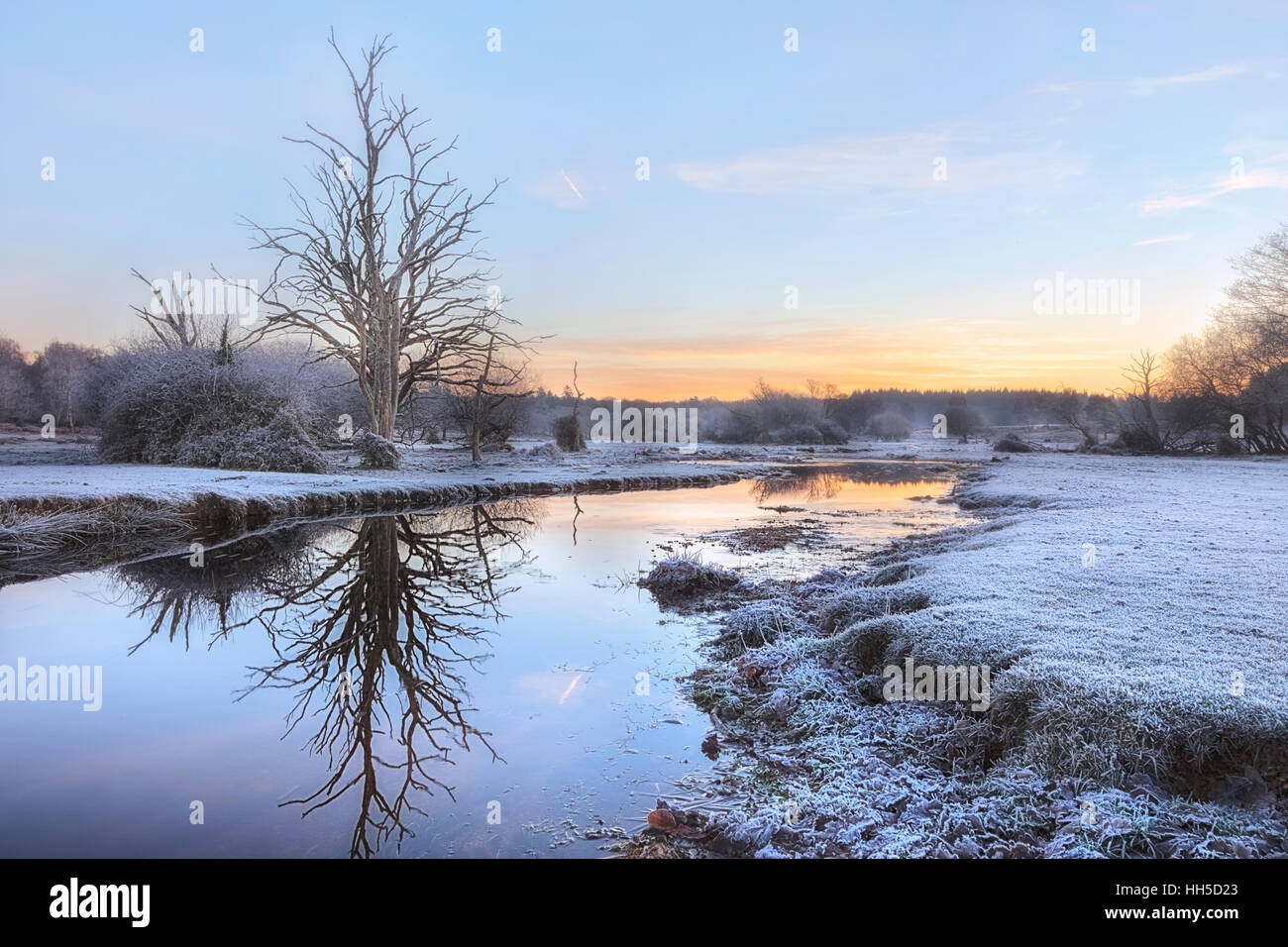 ein Frostiger Morgen am Mühle Rasen Brook, Lyndhurst, New Forest, Hampshire, England, UK Stockfoto