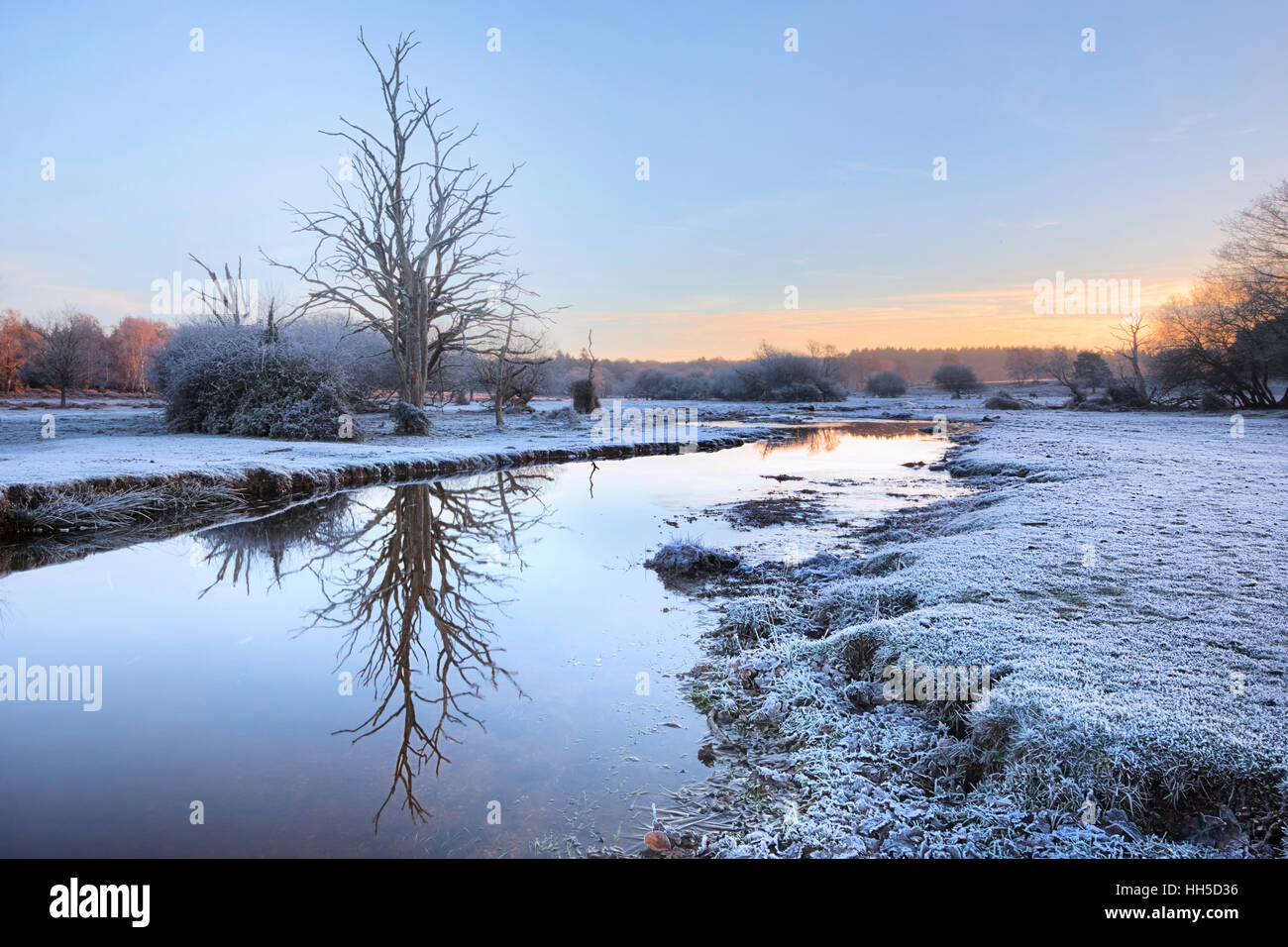 ein Frostiger Morgen am Mühle Rasen Brook, Lyndhurst, New Forest, Hampshire, England, UK Stockfoto