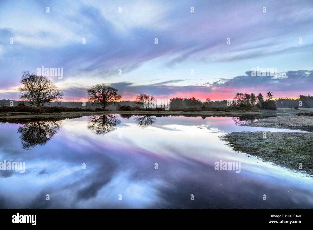 Sonnenaufgang am Mogshade Teich, Bratley Ansicht, New Forest, Hampshire, England Stockfoto