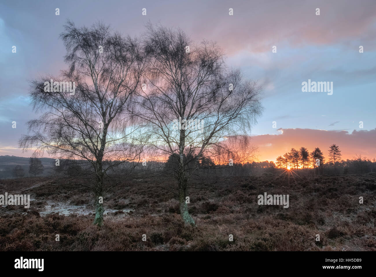 Sonnenaufgang am Mogshade Teich, Bratley Ansicht, New Forest, Hampshire, England Stockfoto