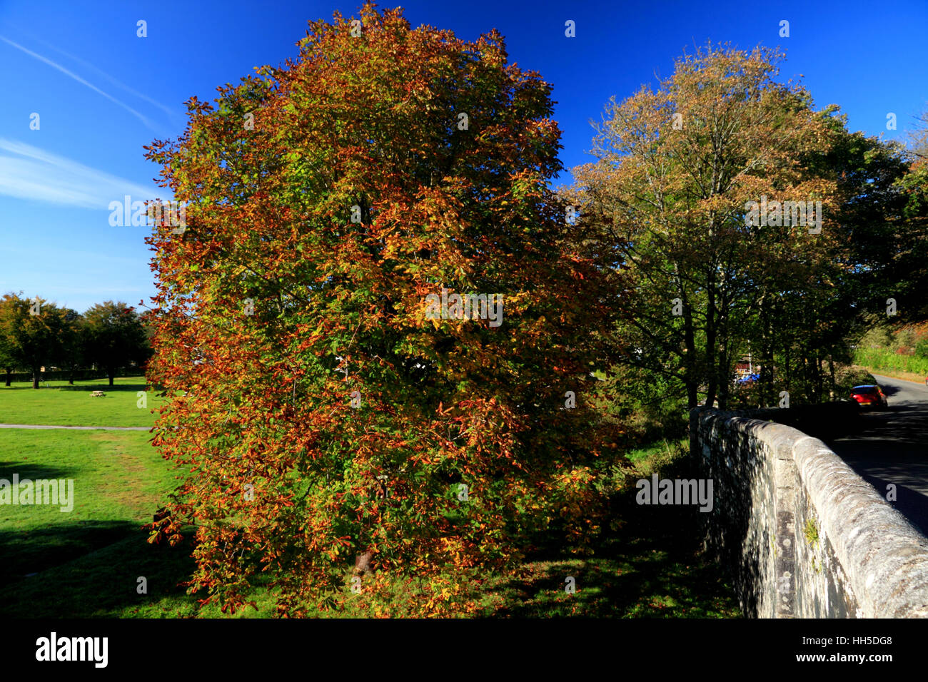 Herbstfärbung bei Harford Bridge in der Nähe von Peter Tavy, Devon. Stockfoto