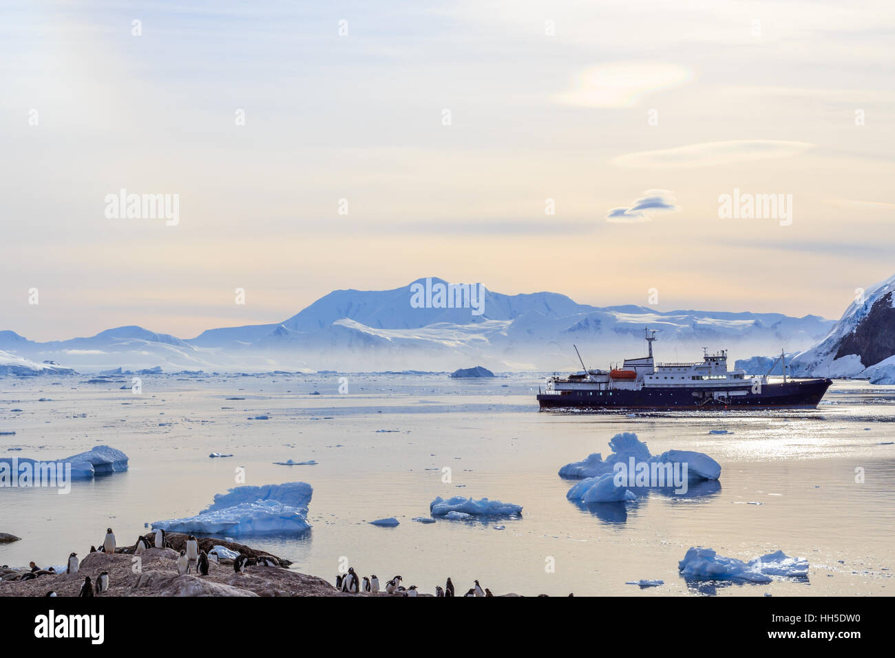Antarktis Kreuzfahrt Schiff zwischen den Eisbergen und Gentoo Pinguine an der Küste von Neco Bay, Antarktis Stockfoto