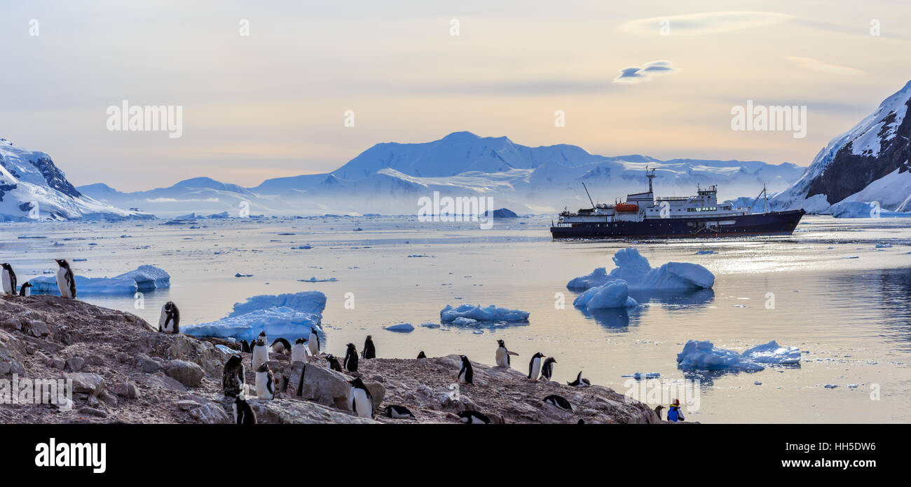 Antarktis Kreuzfahrt Schiff zwischen den Eisbergen und Gentoo Penguins versammelten sich am Ufer von Neco Bucht, Antarktis Stockfoto