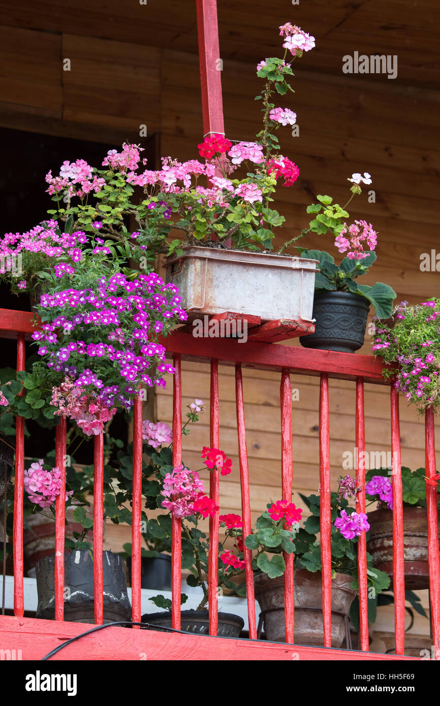 Balkon-Detail mit bunten Blumen El Jardin, Kolumbien Stockfoto