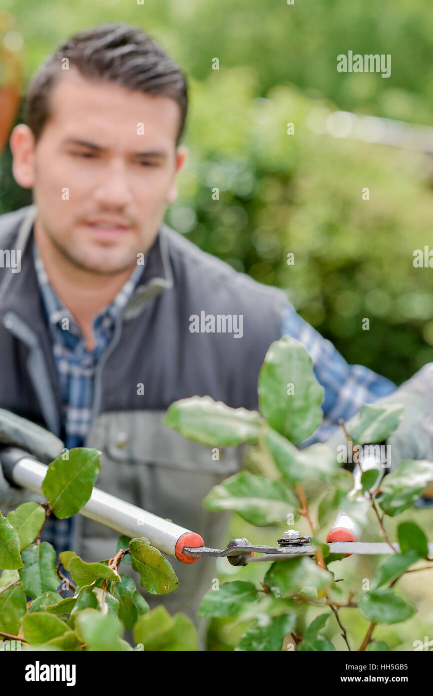 Gärtner bei der Arbeit Stockfotografie Alamy