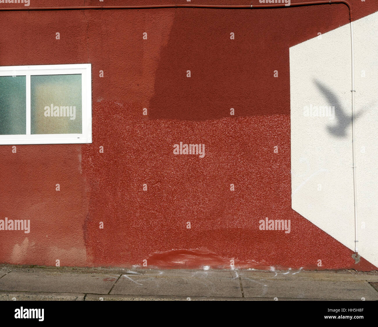Möwe Schatten an der Wand rot Stuck mit Quadraten und Rechtecken designs Stockfoto