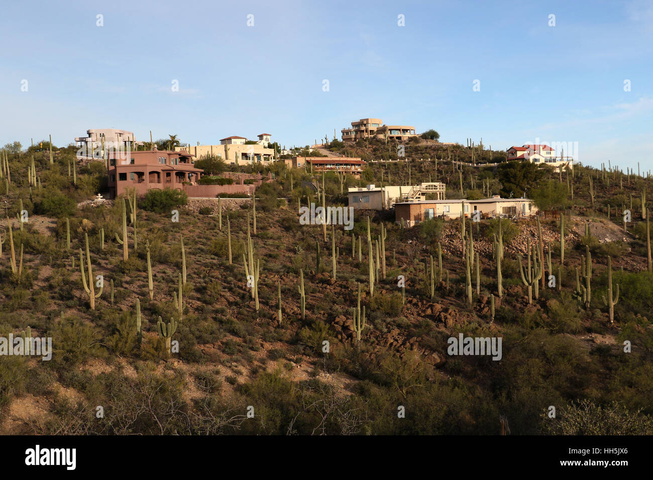 Häuser am Berg in Sonoran Wüste Tucson Arizona Stockfoto