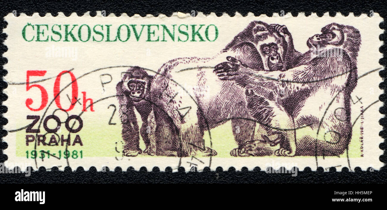 Eine Briefmarke gedruckt in Tschechoslowakei zeigt einen Gorilla, Zoo Prag 1931-1981, 1981 Stockfoto