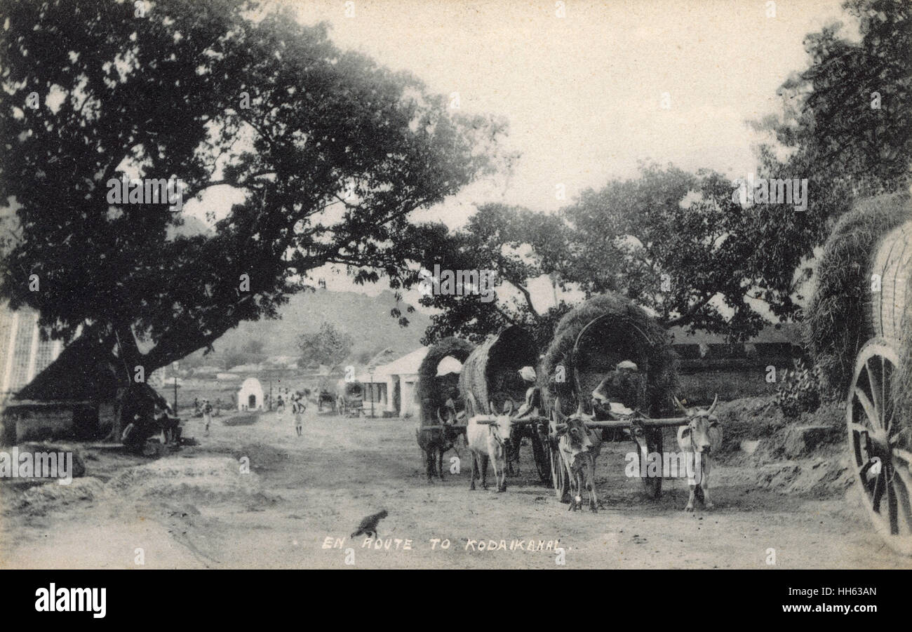 Kodaikanal Hill Station, Tamil Nadu, Indien Stockfoto