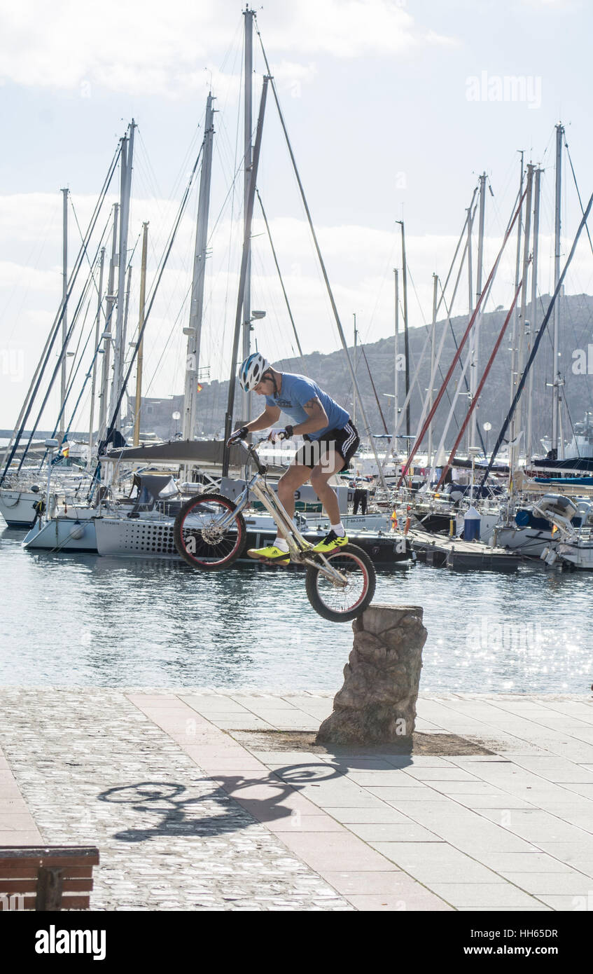 Stunt-Radfahrer Salden auf den Stumpf einer Palme durch den Hafen von Cartagena in Murcia Spanien Stockfoto