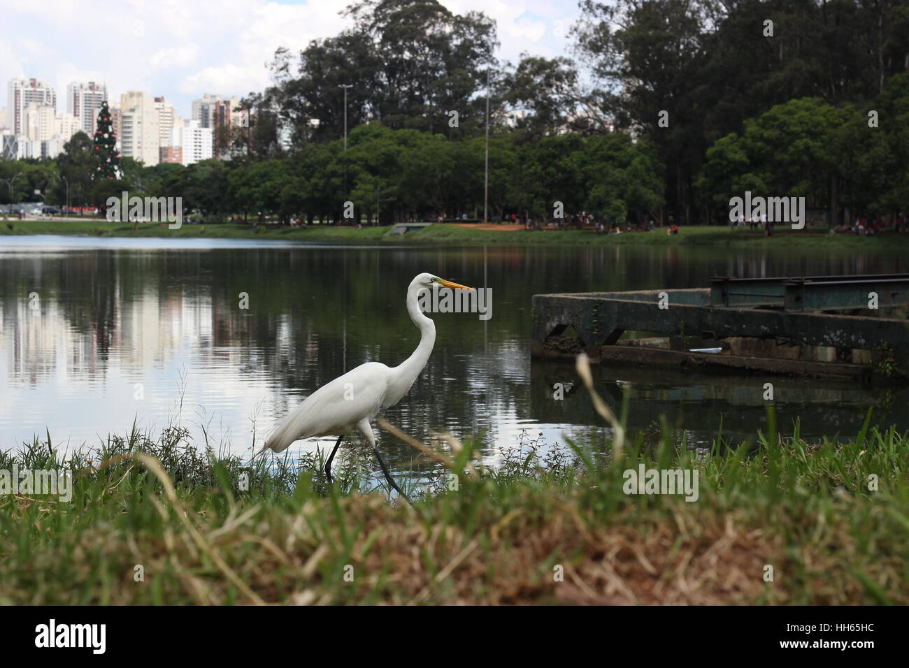 Parque Do Ibirapuera-São Paulo-Brasil Stockfoto