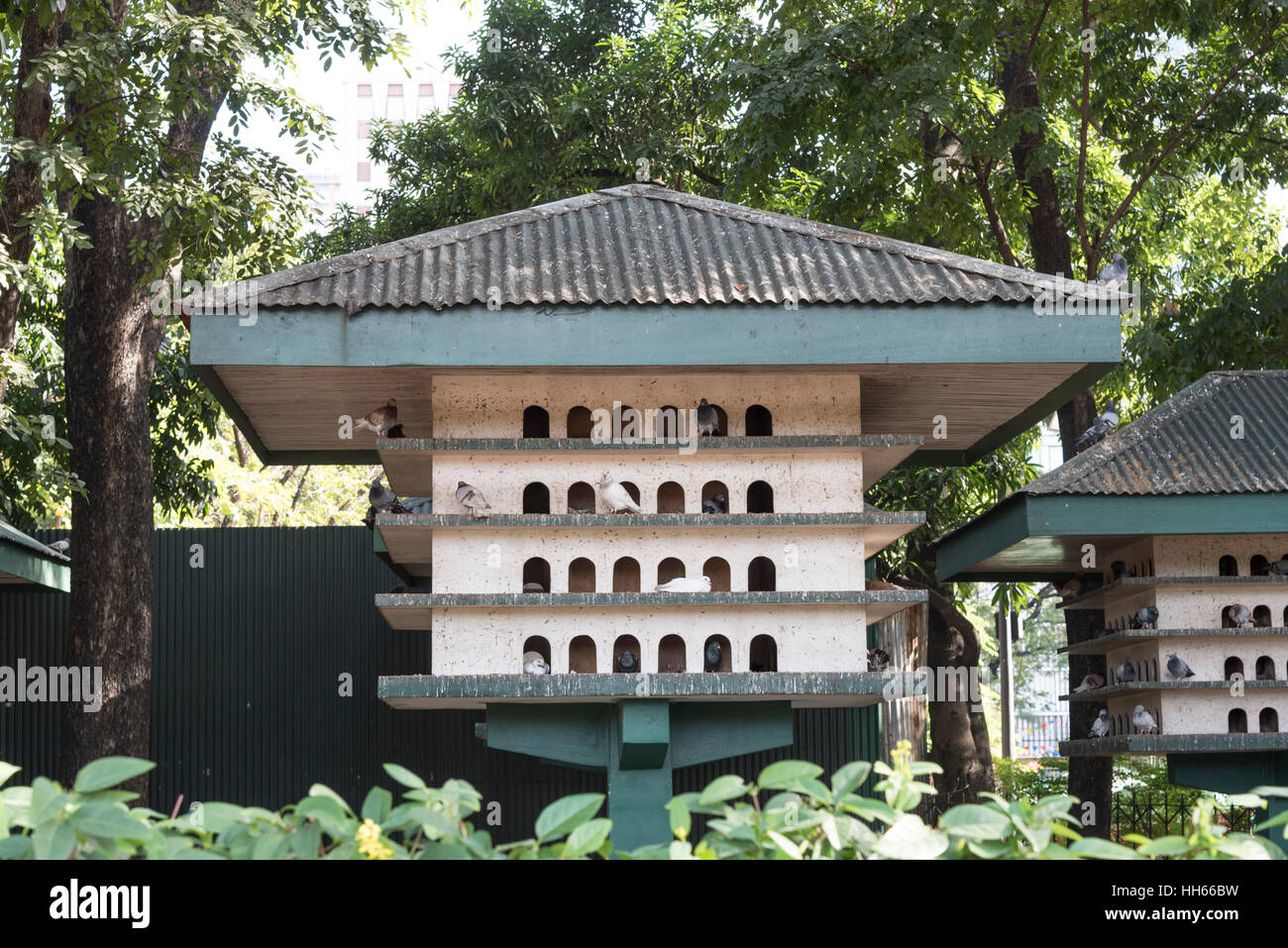 Tauben-Haus von Luneta Park in Manila, Philippinen Stockfoto