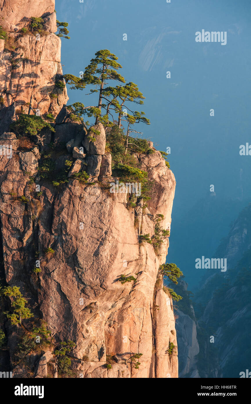 Sonnenaufgang von Lion Peak, Huangshan Mountain, China. Am frühen Morgensonne leuchtet die Klippen unten und Aussichtsplattform. Gebirge und Atmosphäre. Stockfoto