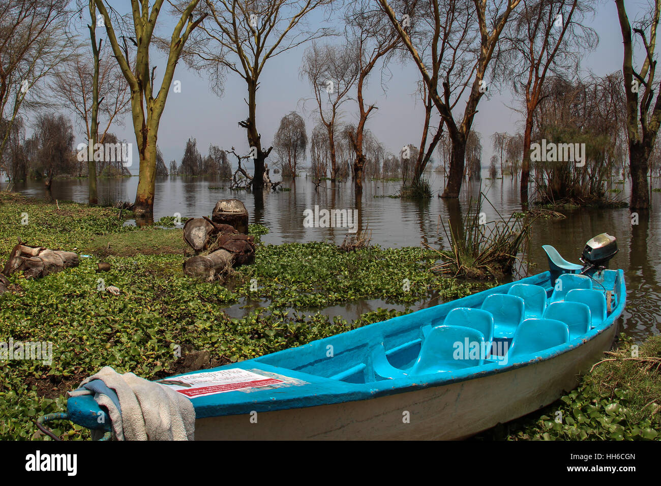 Helle blaue Boot warten auf Touristen am Lake Naivasha, Kenia Stockfoto