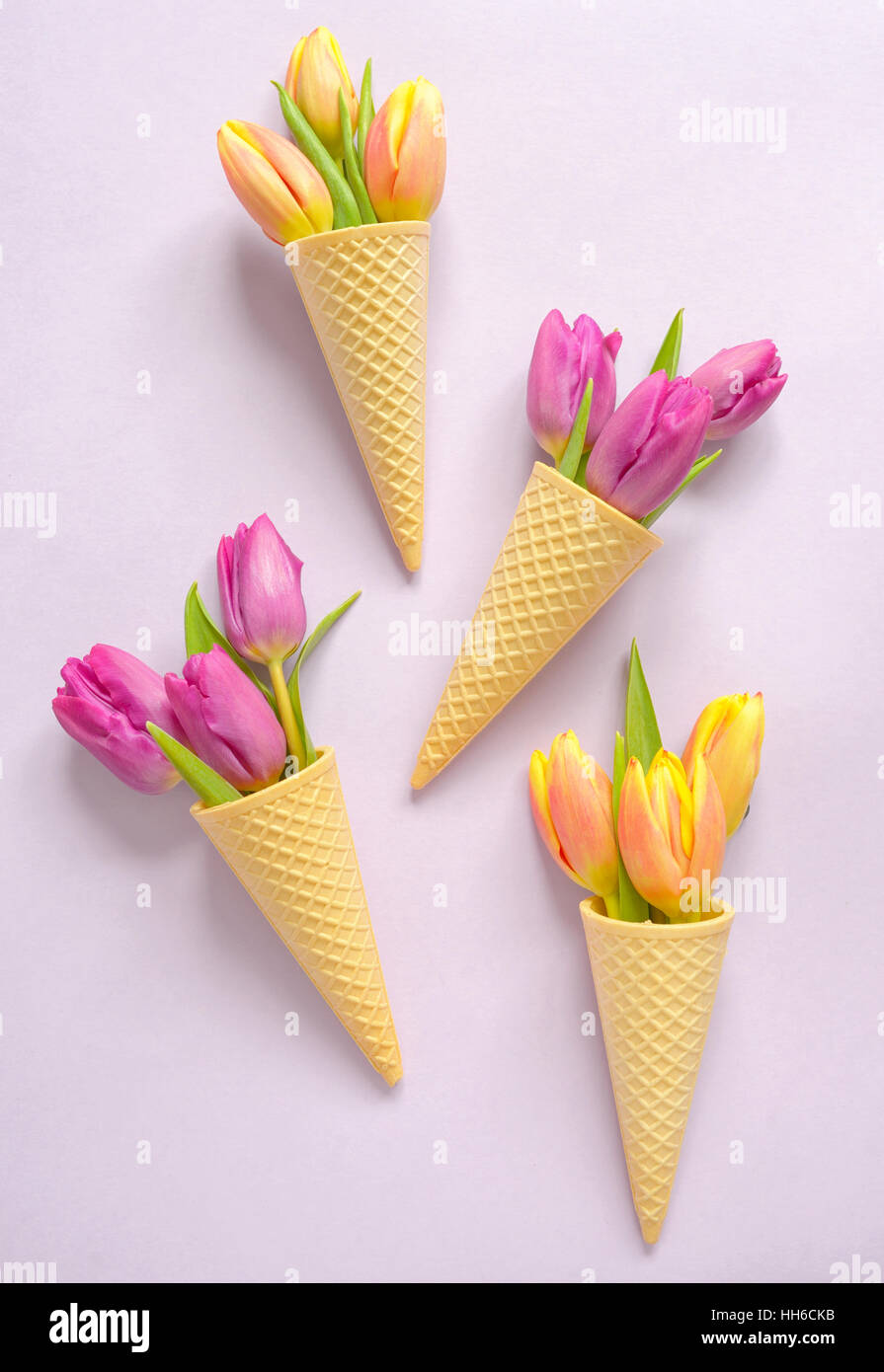 Konzept mit Tulpen in Wafer-Eiscreme-Kegel Stockfoto