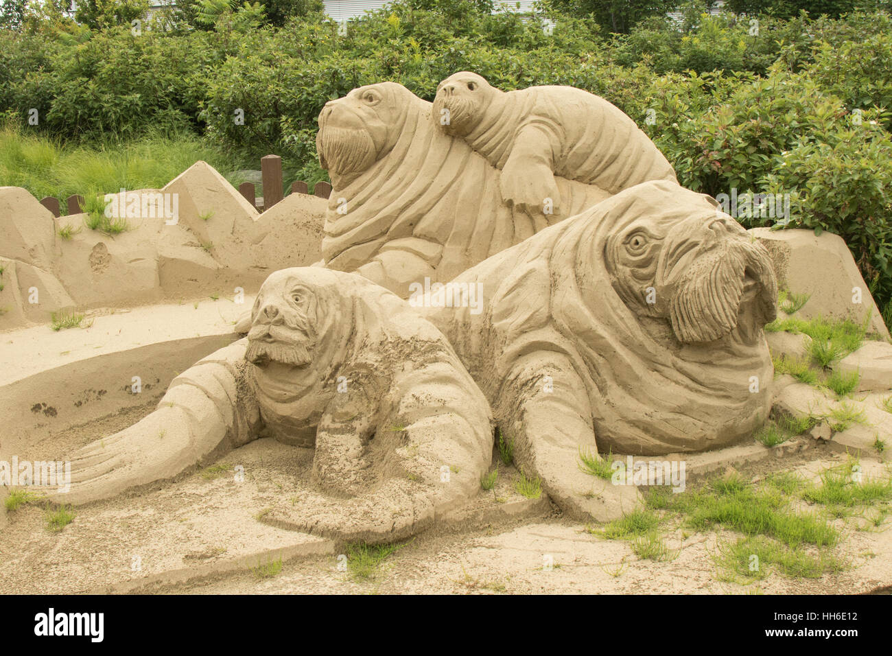 Walross Familie Sandskulpturen Stockfoto