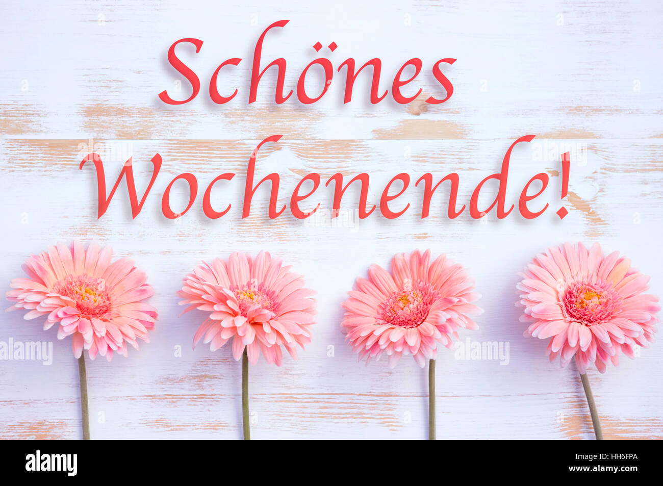 Rosa Gerbera auf weißem Holz mit deutschen Worte Happy Weekend Stockfoto