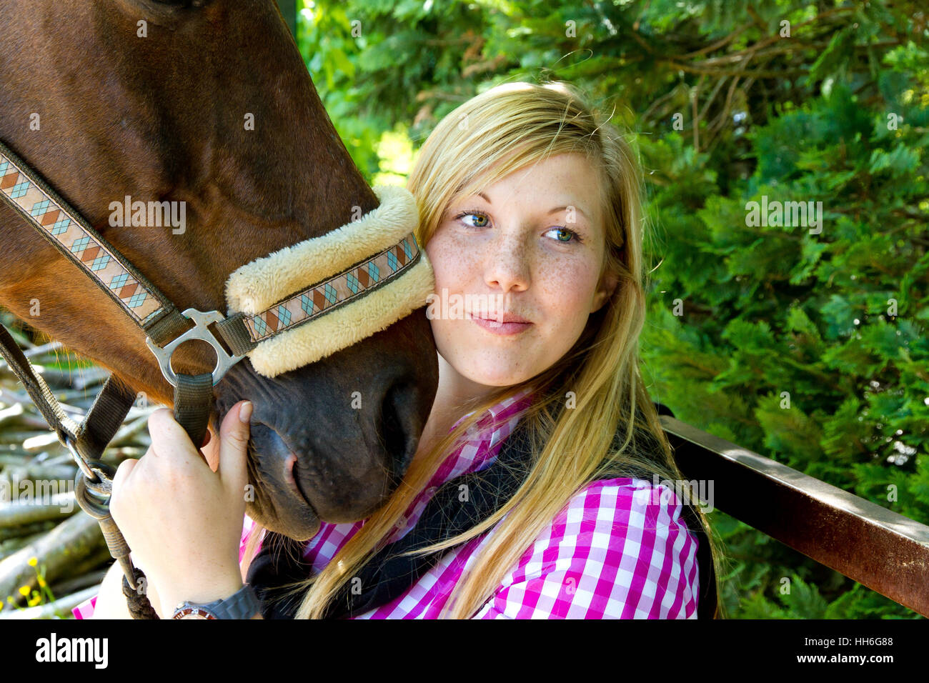Pferd-Liebe Stockfoto