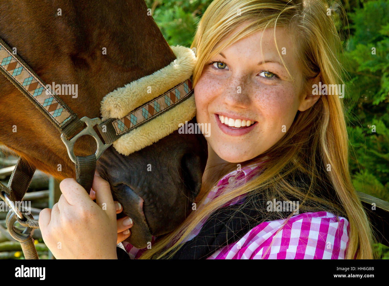 Pferd-Liebe Stockfoto