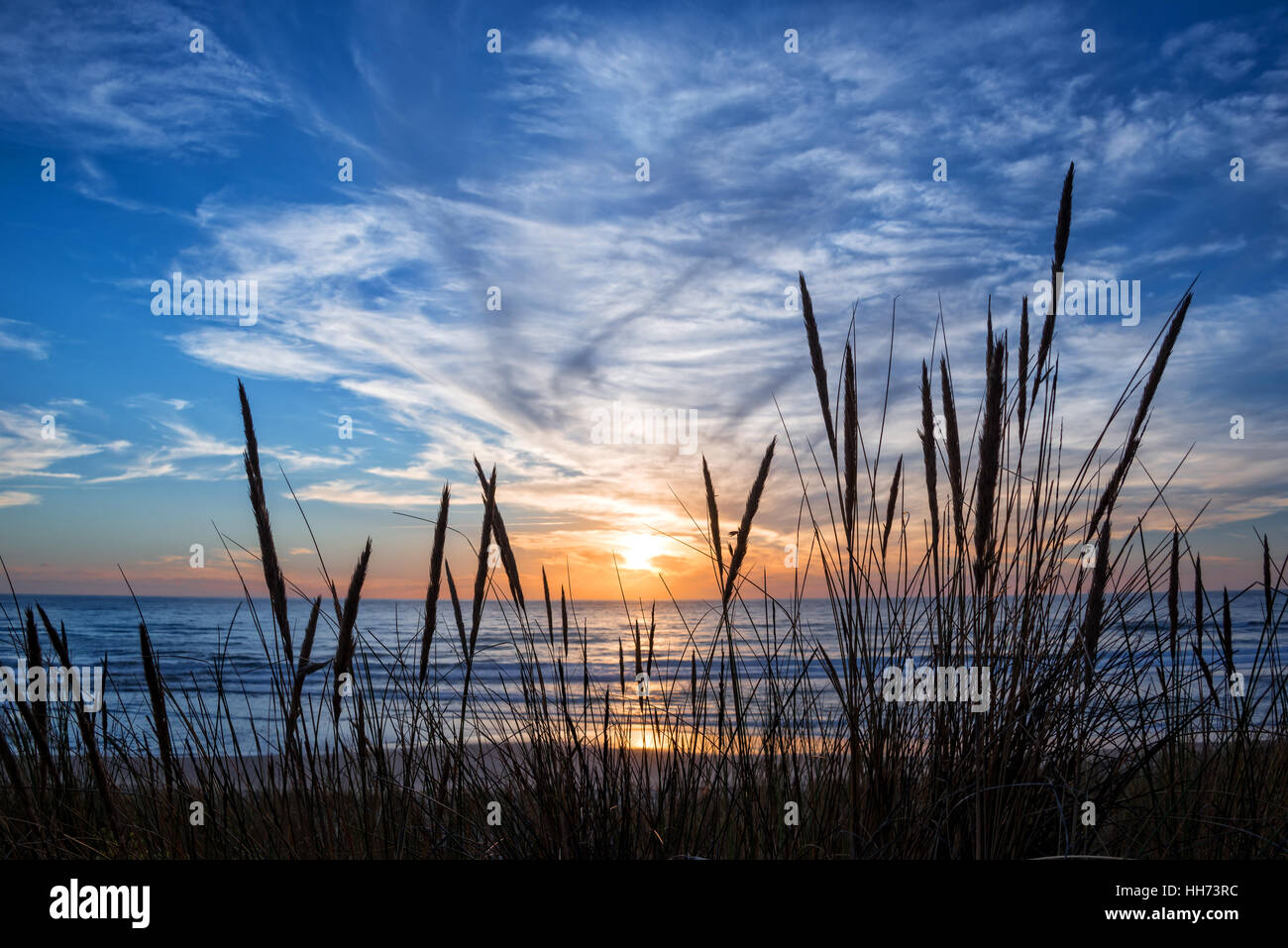 Sonnenuntergang am Atlantik, Strandhafer Silhouette in Lacanau-Frankreich Stockfoto