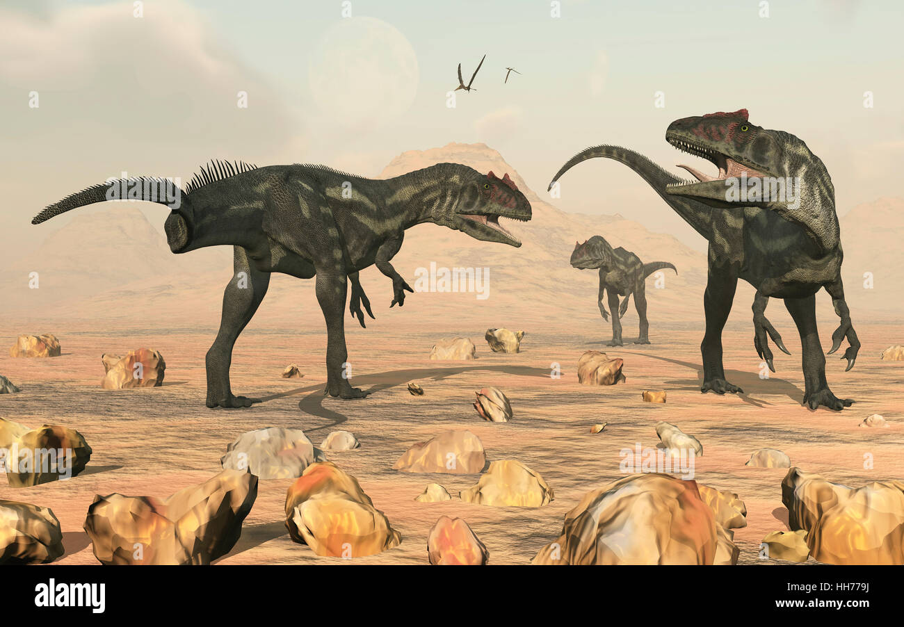 Eine kleine Packung von Allosaurus Dinosaurier. Stockfoto