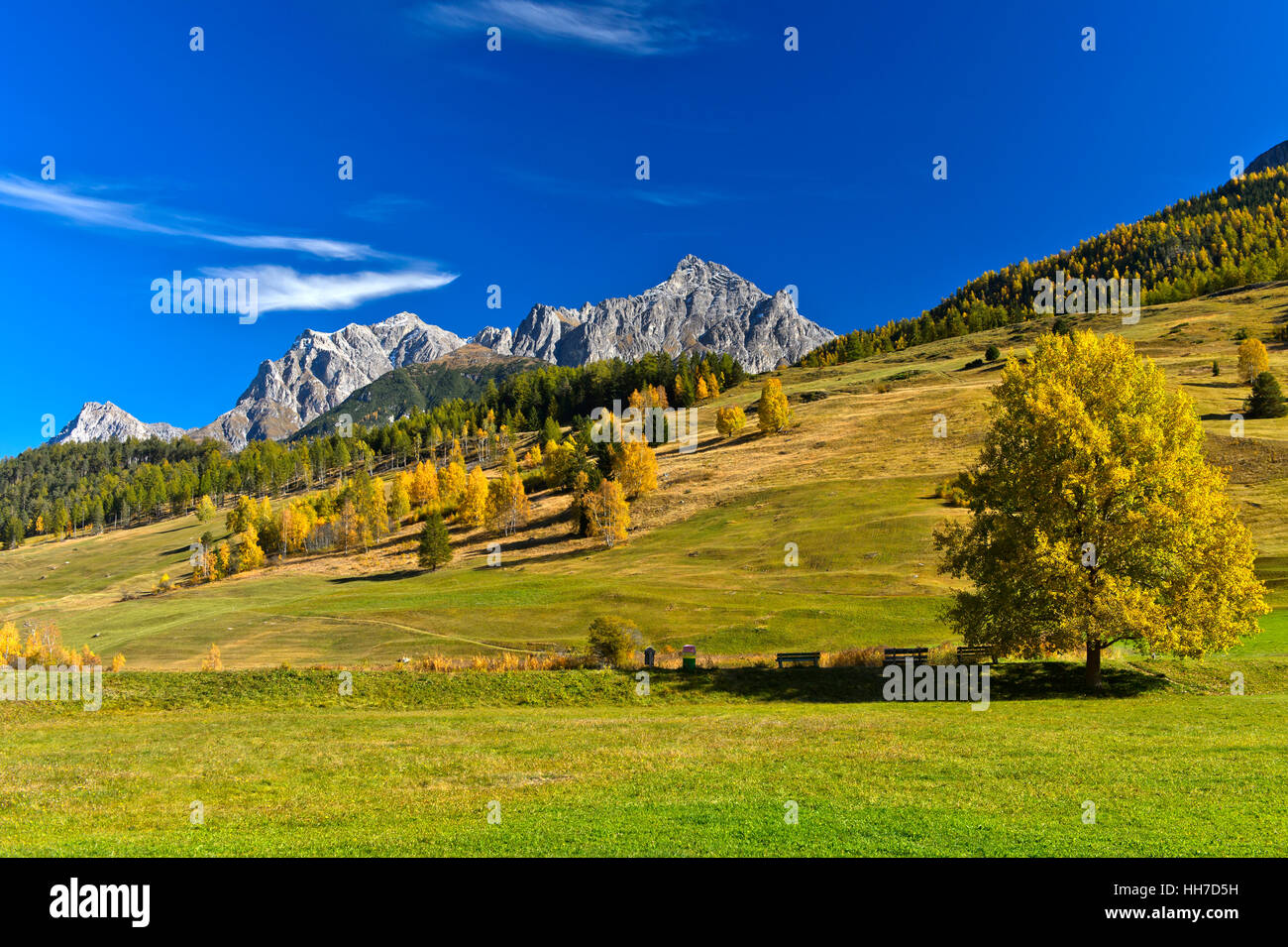 Berglandschaft im Herbst, Tarasp, Engadin, Graubünden, Schweiz Stockfoto
