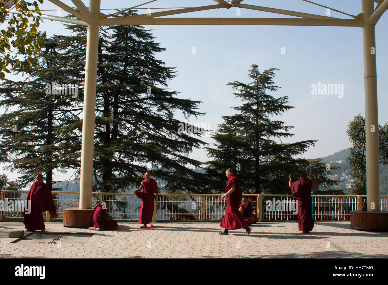Tibetische buddhistische Mönche klatschte während der Debatte in Dharamsala, Indien Stockfoto