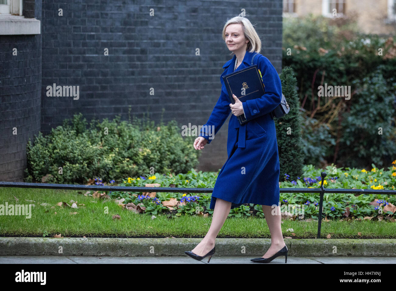 London, UK. 17. Januar 2017. Elizabeth Truss MP, Lordkanzler und Staatssekretär für Justiz, kommt für eine Kabinettssitzung in 10 Downing Street vor Premierminister Theresa May Wahrzeichen Erklärung auf Austritt. Bildnachweis: Mark Kerrison/Alamy Live-Nachrichten Stockfoto