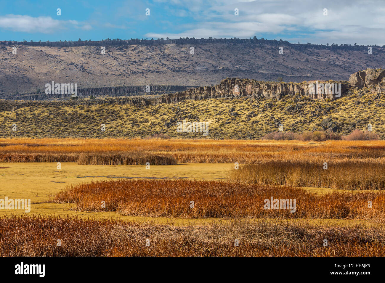 Blick vom Buena Vista Teiche in Richtung Buena Vista Overlook im Malheur National Wildlife Refuge, Oregon, USA Stockfoto