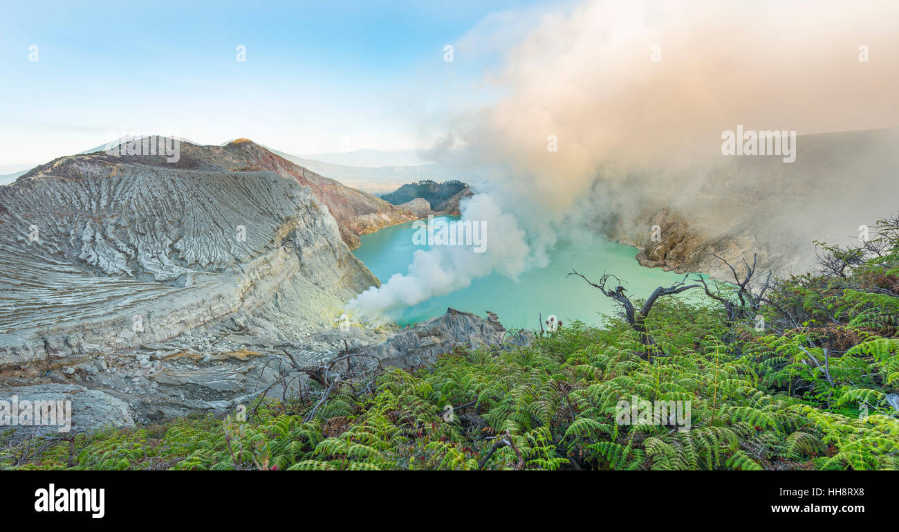 Vulkan Kawah Ijen, Vulkankrater mit Kratersee und dampfende Schlote, Morgenlicht, Banyuwangi, Sempol, Ost-Java Stockfoto