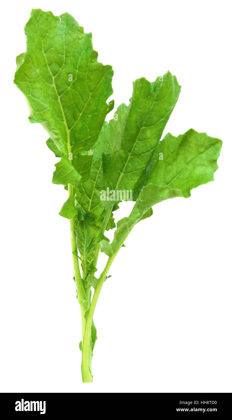 Essbare Senf Blätter als Gemüse über weiß Stockfoto
