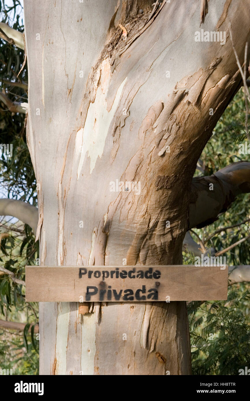 Baum mit privaten Schild am Cabo Girao, Portugal, Madeira Stockfoto
