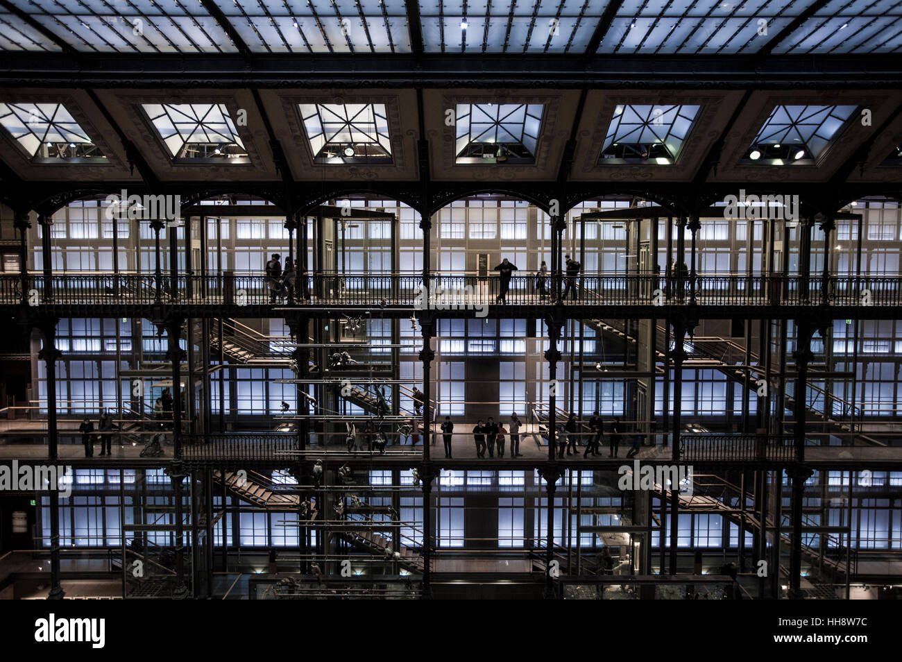 National Museum of Natural History, Interieur, Paris, Frankreich Stockfoto