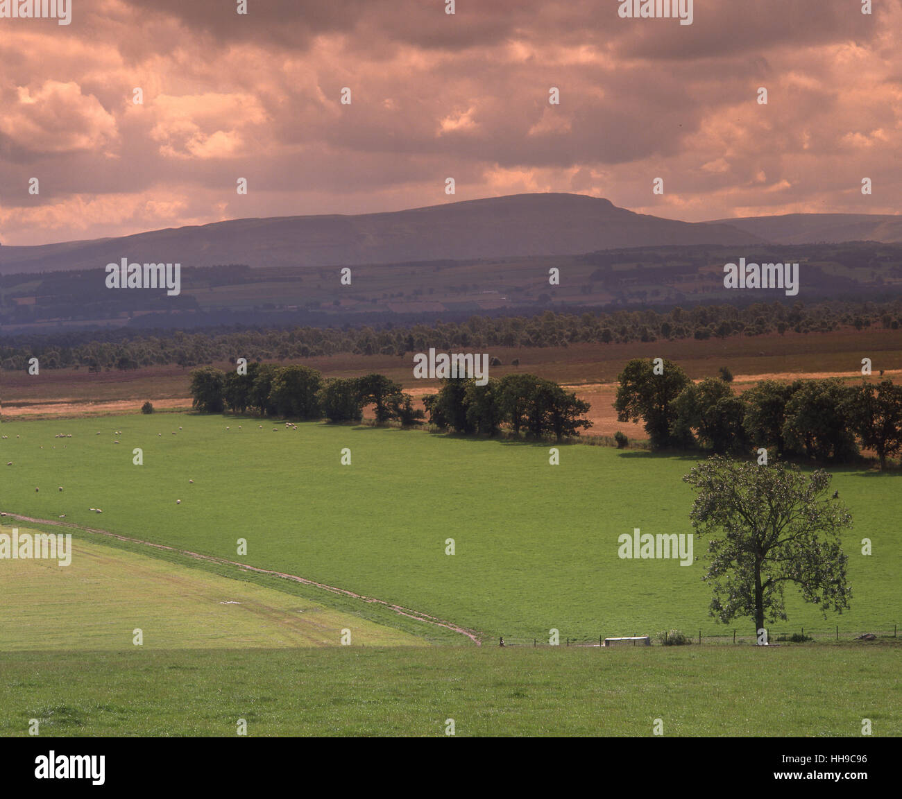 Landschaft rund um Thornhill über Carron Tal in Richtung der Fintry Hügel. Stirling-Region. Stockfoto