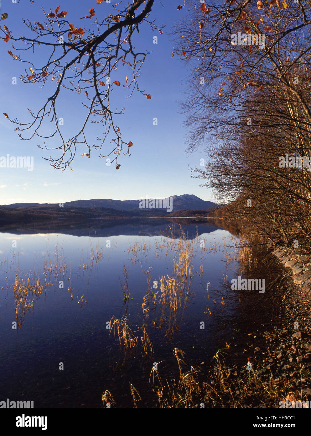 Friedliche Herbst Szene am See Venachar mit Ben Venue in Ansicht, Trossachs, Stirling-Region.Scotland Stockfoto