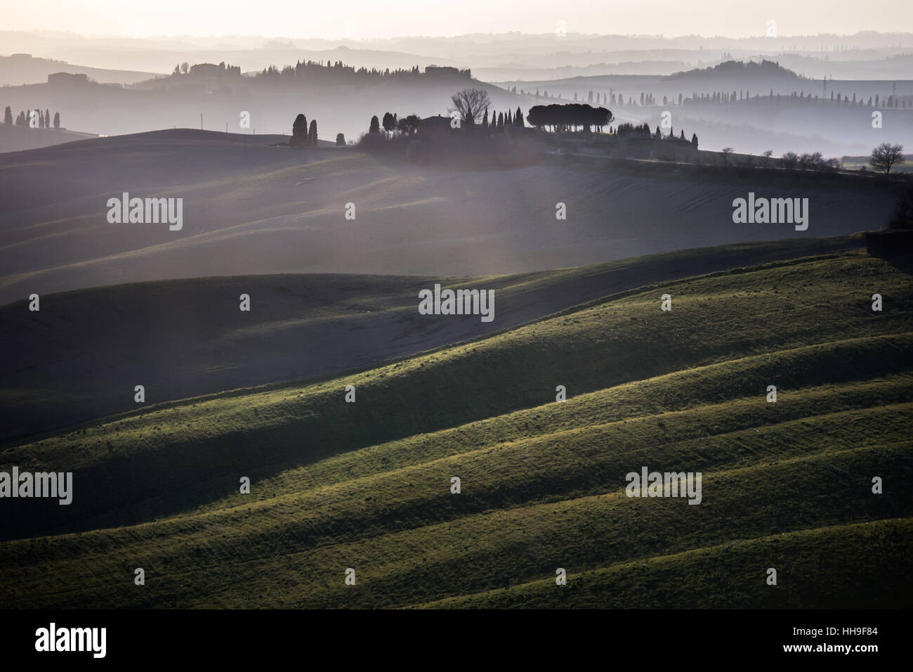 Toskana, sanfte Hügel im Sonnenuntergang. Landschaft der Crete Senesi und Sonnenlicht. Grüne Felder, ein Hof mit Bäumen. Siena, Italien Stockfoto