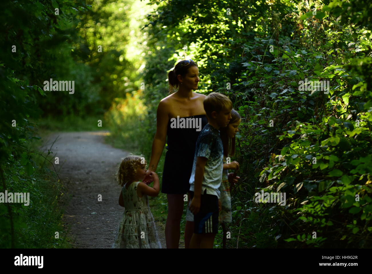 Waldspaziergang mit der Familie Brombeeren pflücken Stockfoto