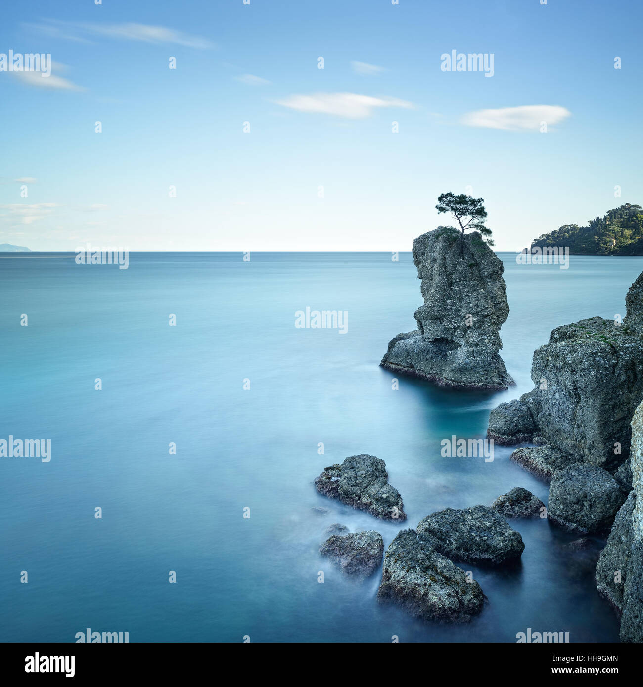 Regionaler Naturpark Portofino. Einsame Kiefer Baum Rock und Küsten Klippe Strand. Langzeitbelichtung Fotografie. Ligurien, Italien Stockfoto