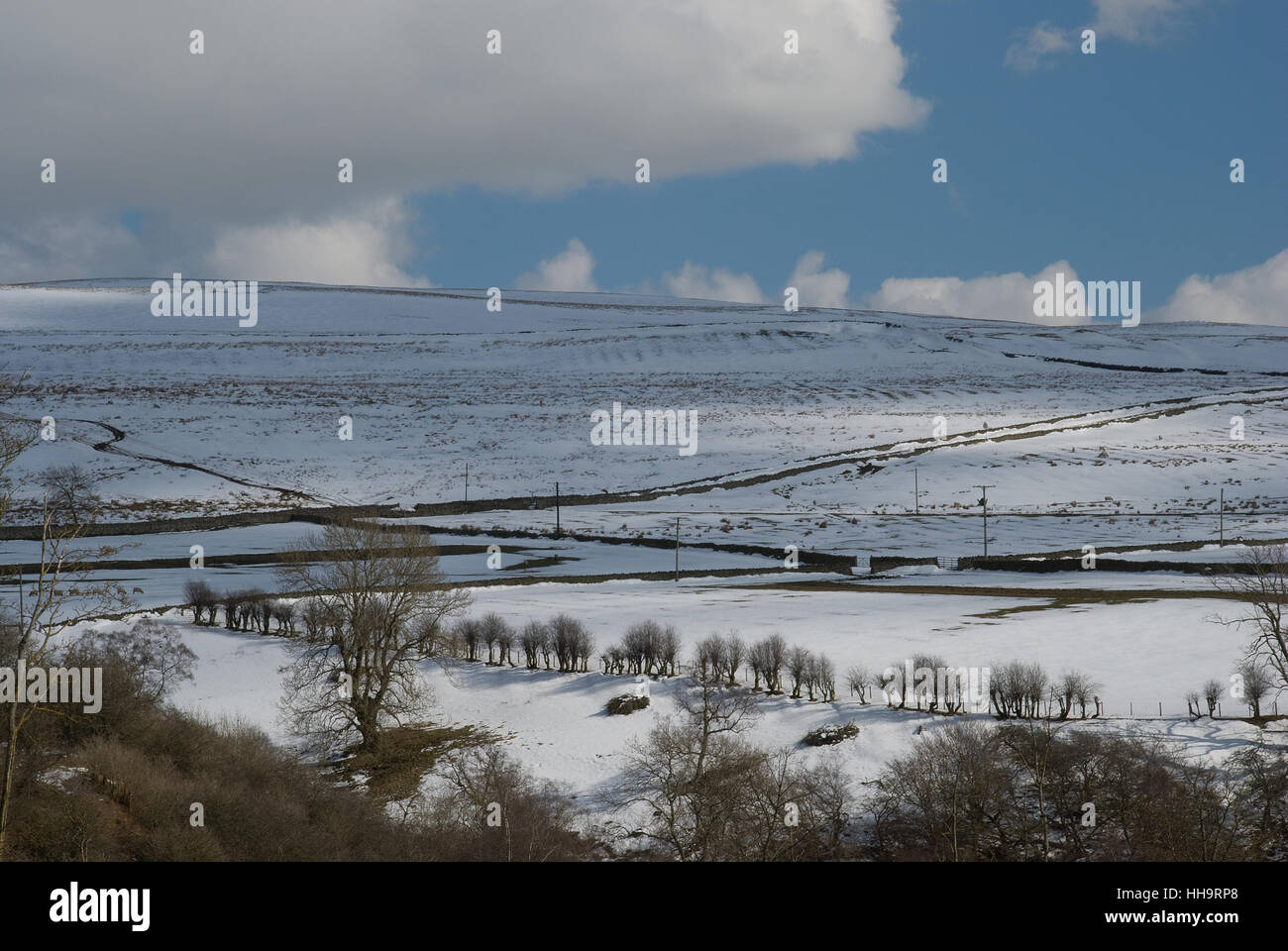 Schneebedeckte Täler in der Grafschaft Durham, die eine Baumlinie zeigen, die ein Feld überquert, und den Hintergrund von Moore Stockfoto