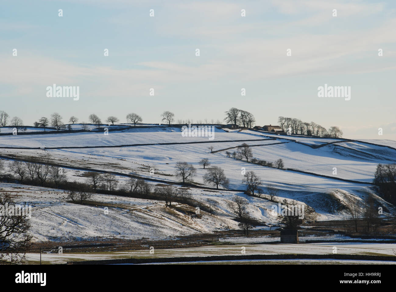 Winterliche Szene mit schneebedeckten Feldern, Steinmauern und Bäumen in der Nähe von Malham in North Yorkshire Stockfoto